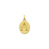 gouden-ovale-hanger-met-letter-en-naam