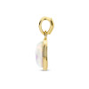 gouden-ovale-hanger-met-witte-opaal-edelsteen-6-5-mm-x-14-mm