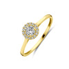 gouden-ring-met-een-halo-zirkonia