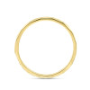 gouden-ring-met-gediamanteerd-oppervlak