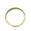 gouden-ring-met-witgouden-rand-en-diamant-0-06-crt