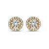 gouden-ronde-halo-oorbellen-met-zirkonia-s-diameter-7-2-mm