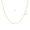 gouden-schakelketting-met-ankerschakel-2-8-mm-breed-lengte-42-cm