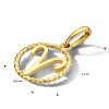 gouden-sterrenbeeld-hanger-10-5-mm-opengewerkt
