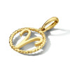 gouden-sterrenbeeld-hanger-10-5-mm-opengewerkt