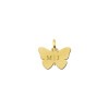 gouden-vlinder-hanger-met-twee-letters
