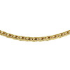 gouden-vossestaart-ketting-4-mm-45-cm