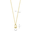 goudkleurige-ketting-met-hangslot-hanger-14-mm-1-5-mm-breed-lengte-46-cm