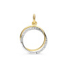 hanger-met-gouden-cirkel-en-witgouden-zirkonia-cirkel-diameter-15-mm