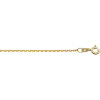 ketting-zonder-hanger-goud-anker-1-2-mm