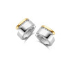 moderne-bicolor-oorringen-met-zirkonia-in-spanzetting