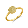 names4ever-14-karaat-gouden-zegelring-met-vingerafdruk-graveerbaar-en-persoonlijk