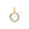 ovale-14-karaat-bicolor-hanger-met-transparante-zirkonia-diameter-13-mm