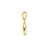 ovale-hanger-met-witte-parelmoer-14-karaat-goud-7-mm-x-16-mm