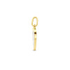 parelmoeren-hanger-met-hartje-en-14-karaat-gouden-rand-12-mm-breed-hoogte-10-5-mm