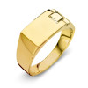 rechthoekige-herenring-van-14-karaat-goud-9-mm-x-16-mm