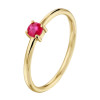robijn-edelsteen-ring-van-goud