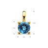 ronde-edelsteen-hanger-met-london-blue-topaas-14-karaat-goud-diameter-5-mm