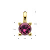 ronde-edelsteen-hanger-met-roze-rode-rhodoliet-14-karaat-goud-diameter-5-mm