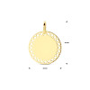 ronde-gouden-graveerhanger-met-bewerkte-rand-diameter-16-mm