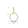 ronde-gouden-hanger-met-zirkonia-s-diameter-10-mm