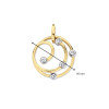 sierlijke-14-karaat-gouden-hanger-met-transparante-zirkonia-diameter-16-mm