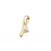sierlijke-bicolor-hanger-met-zirkonia