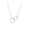 witgouden-ketting-met-twee-rondjes