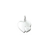 zilveren-hanger-met-groot-en-klein-hartje-17-5-mm-breed-hoogte-16-5-mm