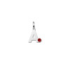 zilveren-letter-hanger-met-geboortesteen