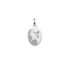 zilveren-ovale-hanger-met-bloemen-en-kolibrie