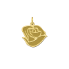 gouden-roos-hanger