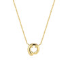 sif-jakobs-circolo-pianura-sj-n2586-yg-zilveren-goldplated-ketting-met-hanger-en-glanzende-afwerking-50-cm