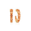 sif-jakobs-ellisse-sj-e2330-chcz-yg-goudkleurige-oorbellen-met-oranje-zirkonia-s-diameter-22-mm