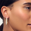 sif-jakobs-goccia-medio-sj-e2484-cz-yg-zilveren-goldplated-oorstekers-met-transparante-zirkonia-38-x-67-mm