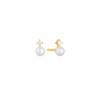 sif-jakobs-gold-plated-oorstekers-met-kleine-zirkonia-en-zoetwaterparel-sj-e12220-pcz-yg