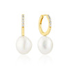 sif-jakobs-padua-uno-sj-e2443-pcz-yg-zilveren-goldplated-oorringen-met-zirkonia-en-parel-15-x-2-mm