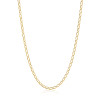 sif-jakobs-sj-c12032-sg-goudkleurige-ankerachtige-schakelketting-lengte