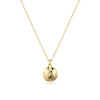 sif-jakobs-sj-p2727-yg-zilveren-ketting-met-ronde-hanger-goudkleurig-lengte-45-cm