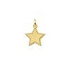 gouden-gegraveerde-ster-hanger