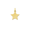 gouden-ster-hanger-met-of-zonder-ketting