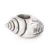 trollbeads-tagbe-20307-zilveren-bedel-roep-van-de-schelp