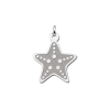 zeester-hanger-van-zilver-21857