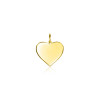 zinzi-gravures-zgh363-11-14-karaat-gouden-hartjes-graveerhanger-11-mm-breed-hoogte-13-5-mm