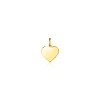 zinzi-gravures-zgh363-8-14-karaaat-gouden-graveerhanger-met-hart-8-mm-breed-hoogte-11-mm