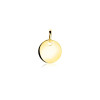 zinzi-gravures-zgh397-10-14-karaat-gouden-graveerhanger-rond-10-mm-breed-hoogte-12-5-mm