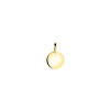 zinzi-gravures-zgh397-8-14-karaat-gouden-ronde-graveerhanger-8-mm-breed-hoogte-11-mm