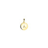 zinzi-gravures-zgh397-8-14-karaat-gouden-ronde-graveerhanger-8-mm-breed-hoogte-11-mm