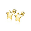 zinzi-zgo315-14-karaat-gouden-oorknopjes-met-ster-hoogte-5-5-mm