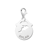 zilveren-bedel-rond-dolfijn